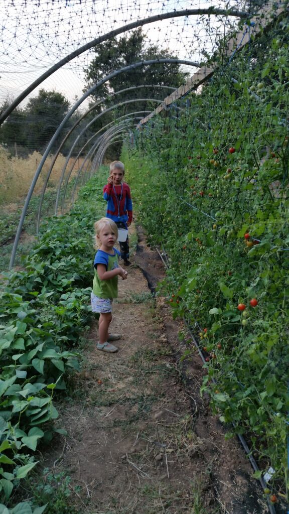 kids in garden