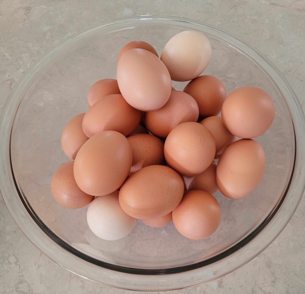 bowl of eggs
