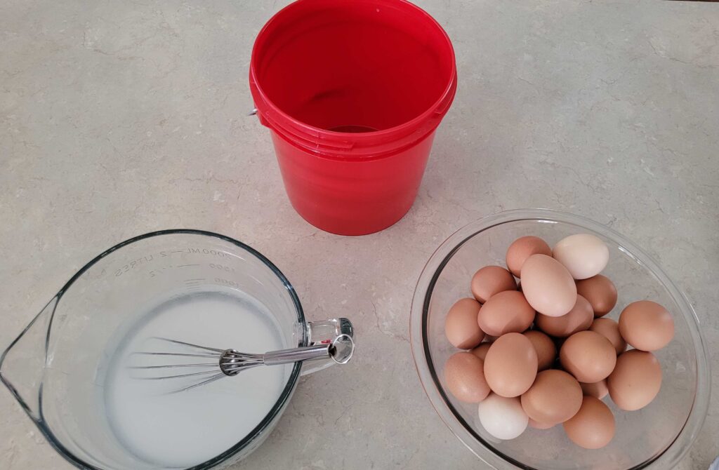 bowl of lime solution, red bucket and bowl of eggs